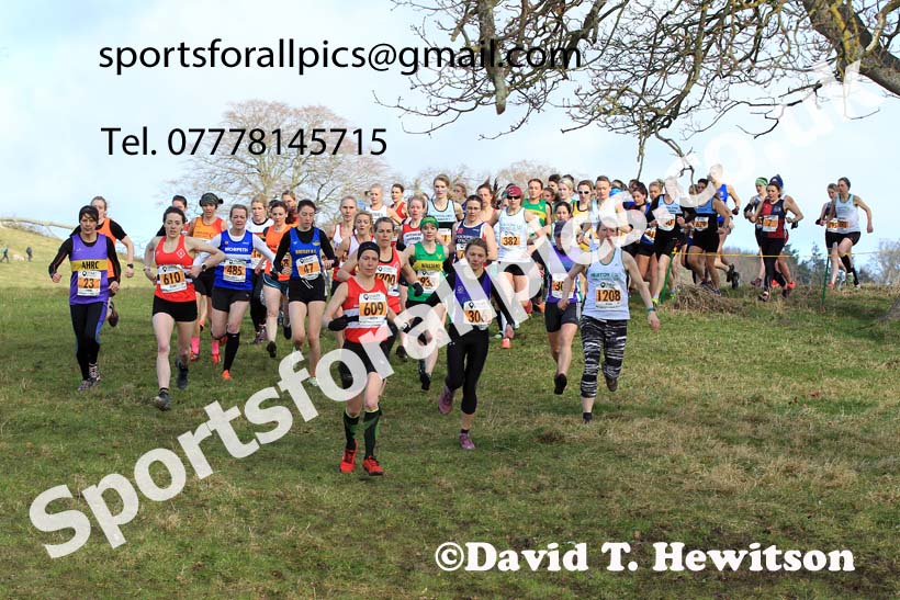 Senior womens 2022 Start Fitness NEHL, Alnwick, Northumberland. Photo: David T. Hewitson/Sports for All Pics